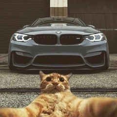 DnB