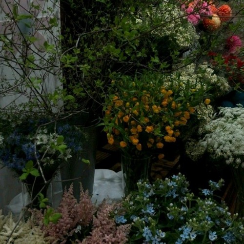 윤한 - 사려니 슾