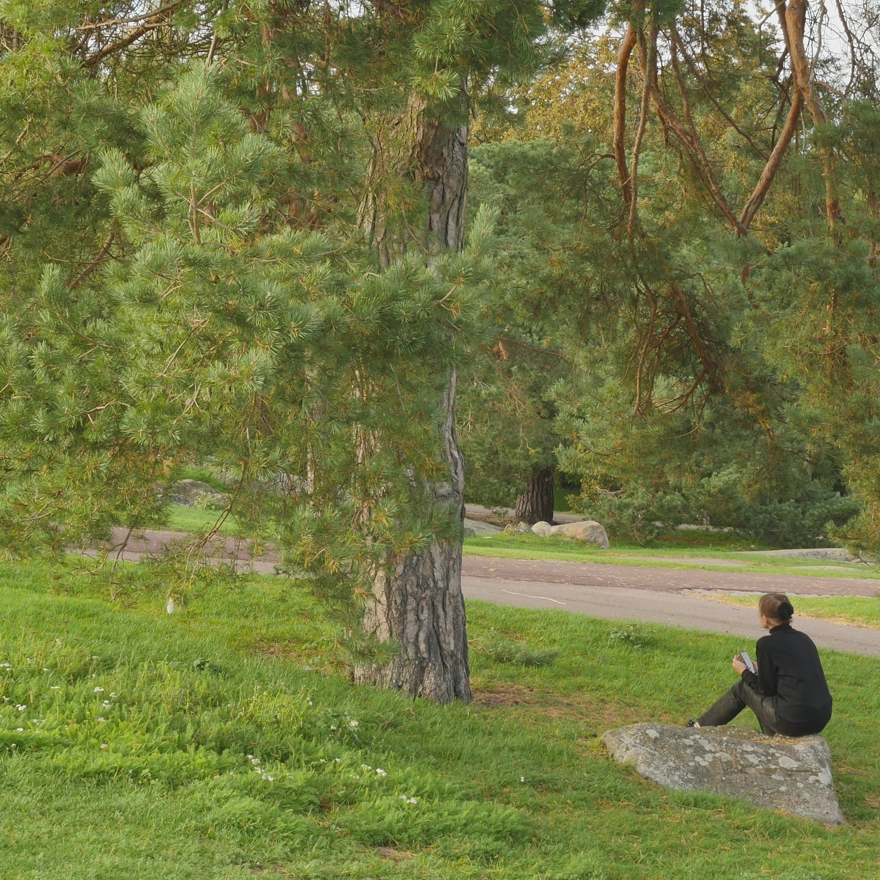 Pondering With A Pine In The Park - 16 episode artwork