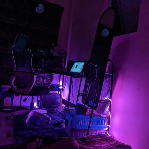 (demo) ngủ cùng