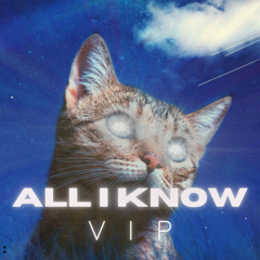 Delax - All i Know (VIP)