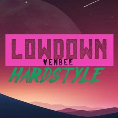 Low Down (Hardstyle Remix)