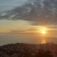 Pierre Lapointe - Le lion imberbe