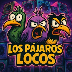 Electronic Music Riot birds   ( LOS PÁJAROS LOCOS)