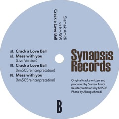 Siamak Amidi vs hm505 - Crack A Love Ball - Synapsis-019