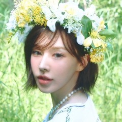 Sunflower - Red Velvet
