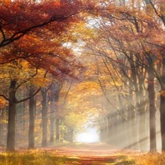 Un Dimanche D Automne