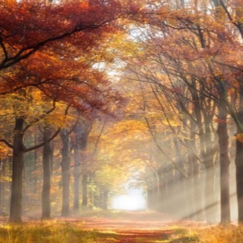 Un Dimanche D Automne
