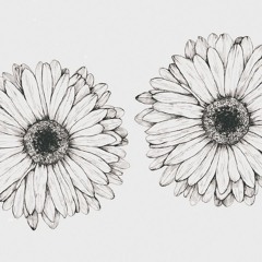 justin bieber - daisies at perfect speed