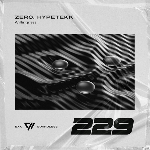 Willingness (Extended Mix)