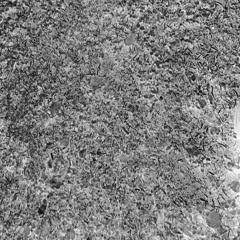 Ripley's Believe It Or Nah! (feat. Kila Skil)