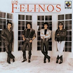 Los Felinos - Morena (Dj Roy Cumbia Mix)