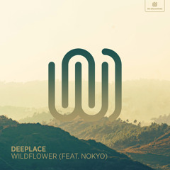 Wildflower (feat. Nokyo)