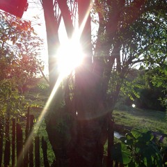 12.07.2021  - Cap. V - Bem Aventurados os Aflitos - O mal e o remédio (11)