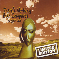 There's Nothing That Compares (Radio Mix)