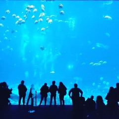 Drowning - Siren Cover Snippet