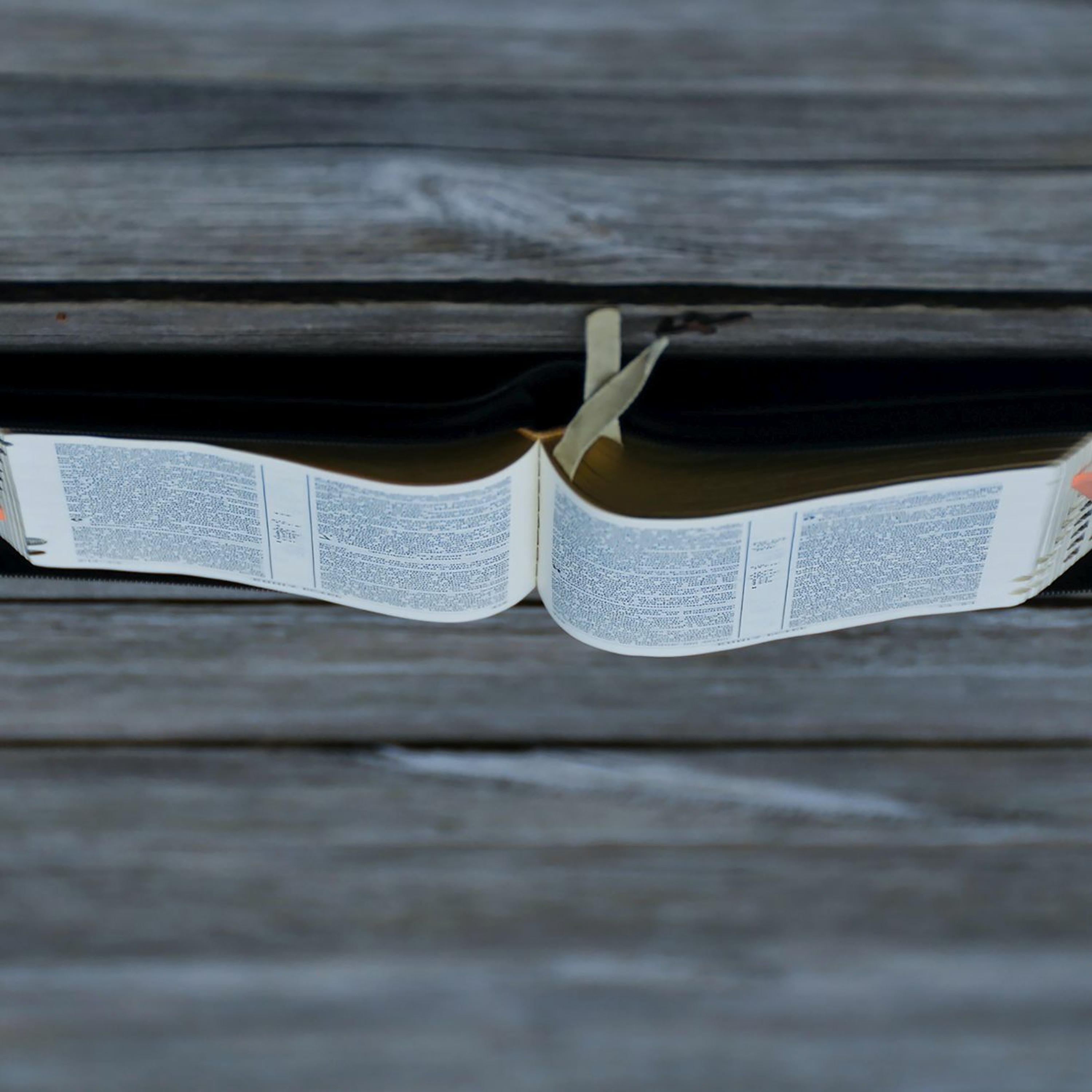 New Discourses