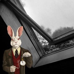 Mr Rabbit experiments