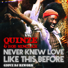QUINZE & Bob Sinclar - Never knew love like this before (Giove DJ Rework Edit)