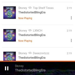 STONEDOGG - ThedistortedBlingEra (prod. by DJ FATJUNT)