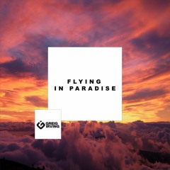 Flying In Paradise (Original Mix)