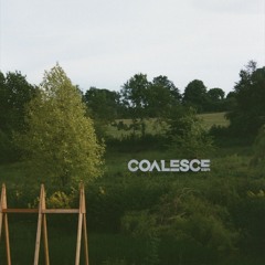 Indigo Selects: Coalesce Festival 2026 Mix