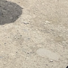 You're Not Alone - cover