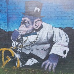 Gorilla