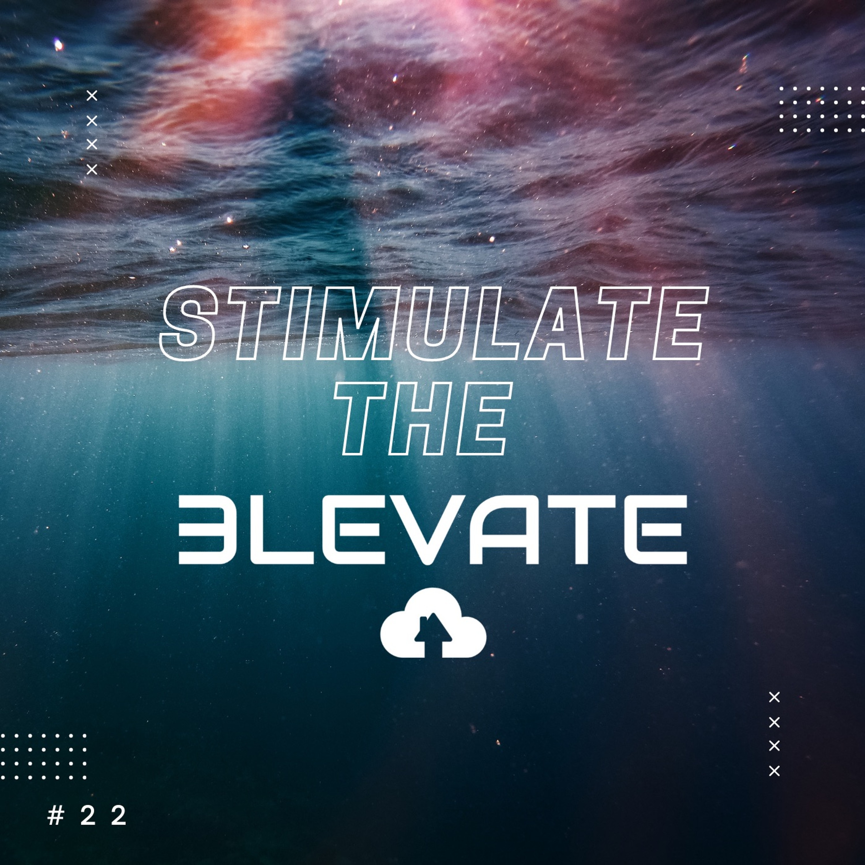 Stimulate the 3Levate #22 episode artwork