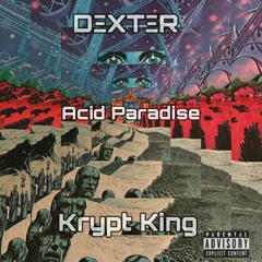 Acid Paradise (Ft.Krypt King)
