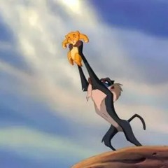 Aussie Lion King  The Delegate