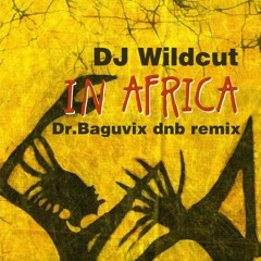 DJ Wildcut - It Began In Africa (Dr.Baguvix Dnb Remix)