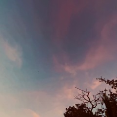 Dreamcatcher (Original Mix)