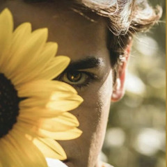 VIES VIBES - Paper Moons