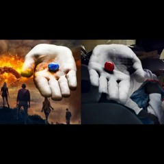 Le monde d'après/La crise du capital/L'imaginaire spectaculaire marchand