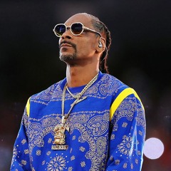 Snoop Dogg Type Beat - Grateful | G Funk Type Beat | West Coast Instrumental