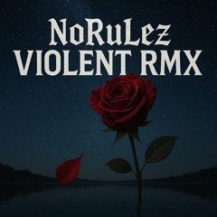 NoRuLez-Violent RMX