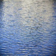 Touché Coulé (with Mily)