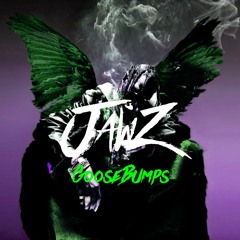 GOOSEBUMPS (RMX)