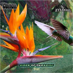 EYEawake & Turen - Birds of Paradise (goaep440 - Goa Records)