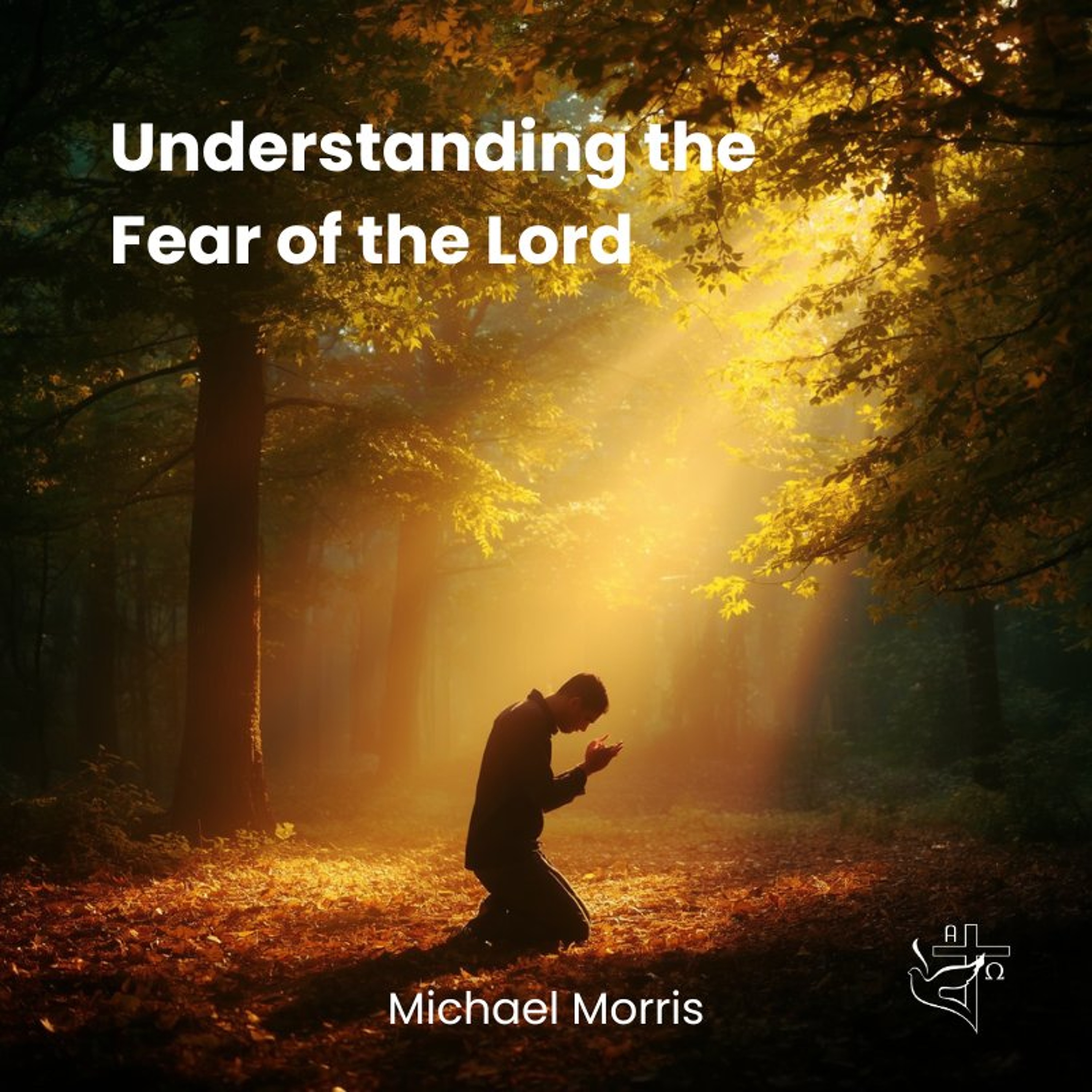 Undertsanding the Fear of the Lord episode artwork