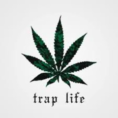 TRAP LIFE