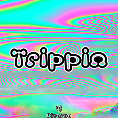 Trippin-DJ Diverse