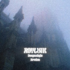 ASYLUM Feat. KRVDES