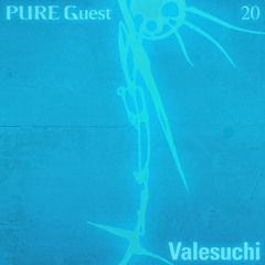 PURE Guest.020 Valesuchi