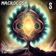 on Macrocosm October 2024
