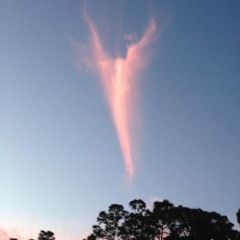 appreciate your loved ones