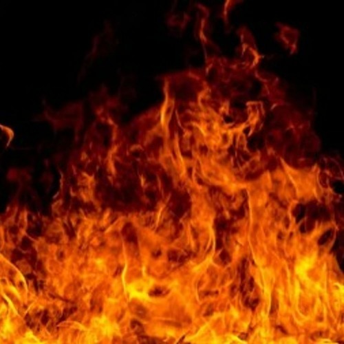 i hate everything about you