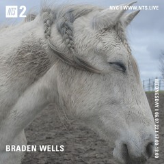 july 6 nts | braden wells