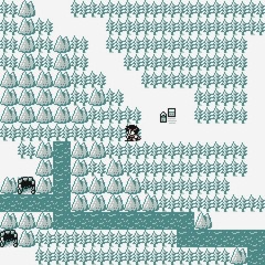 Searching for Family